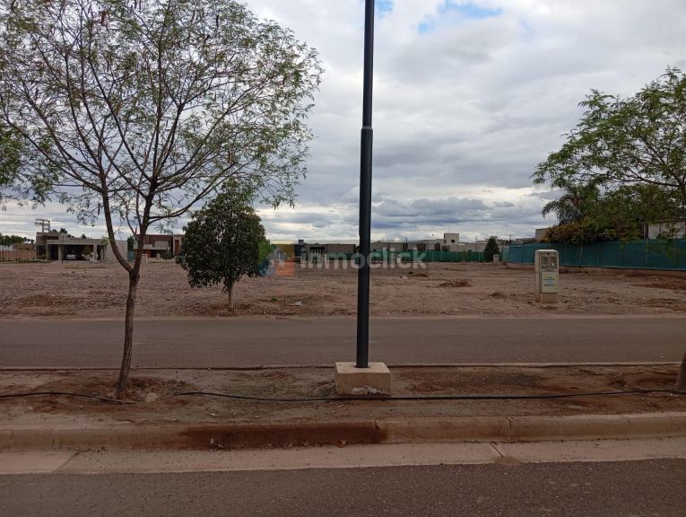 Imagen 11