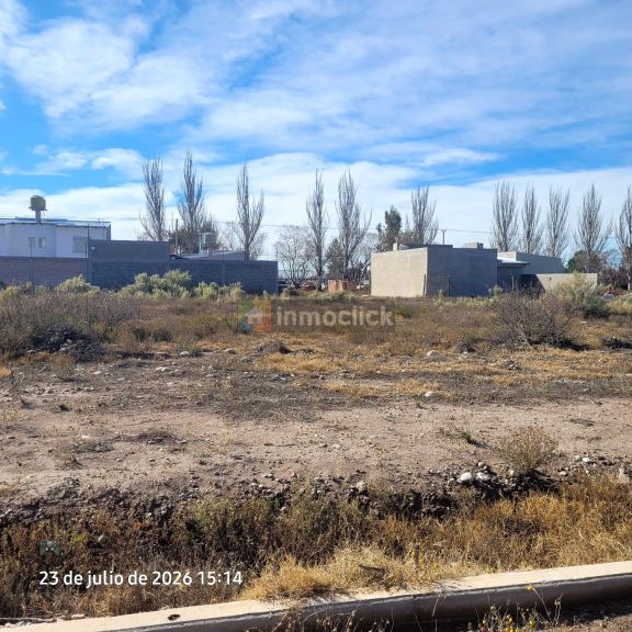 Imagen 6
