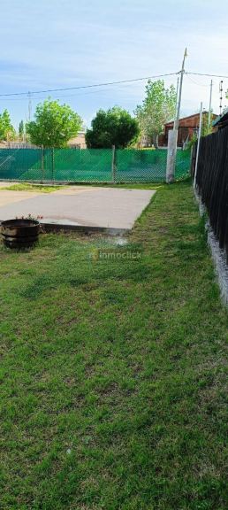 Imagen 5