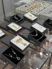 Imagen 6