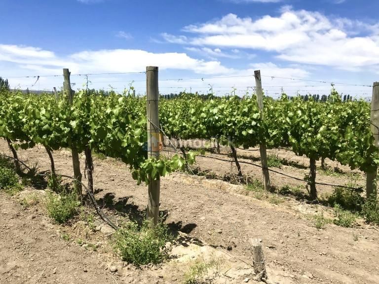 Finca en RUTA 86 Y CALLE REAL