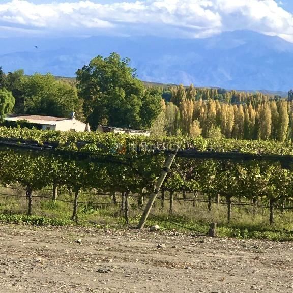 Finca en RUTA 86 Y PIEDRAS BLANCAS