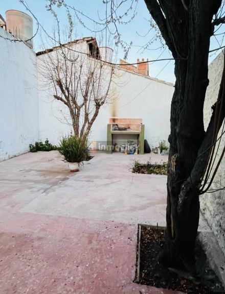 Imagen 5