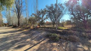Imagen 3