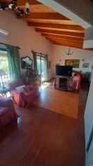 Imagen 9
