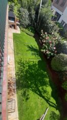 Imagen 7