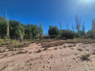Imagen 4
