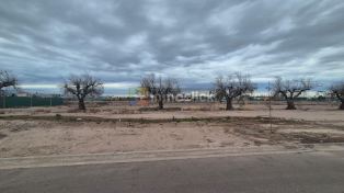 Imagen 6
