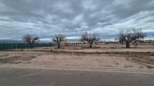 Imagen 4