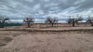 Imagen 5