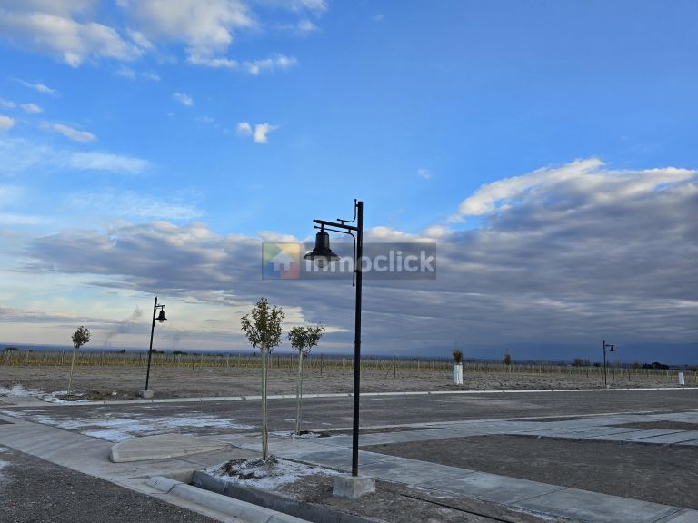 Imagen 11