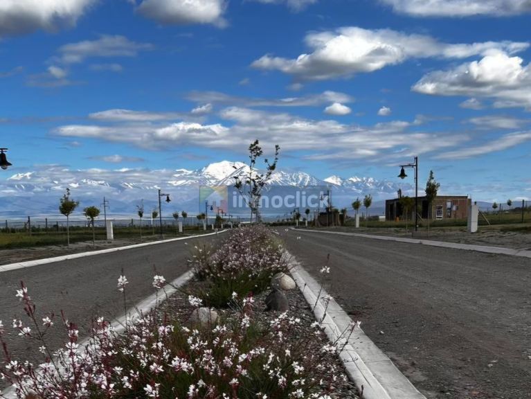 Imagen 6
