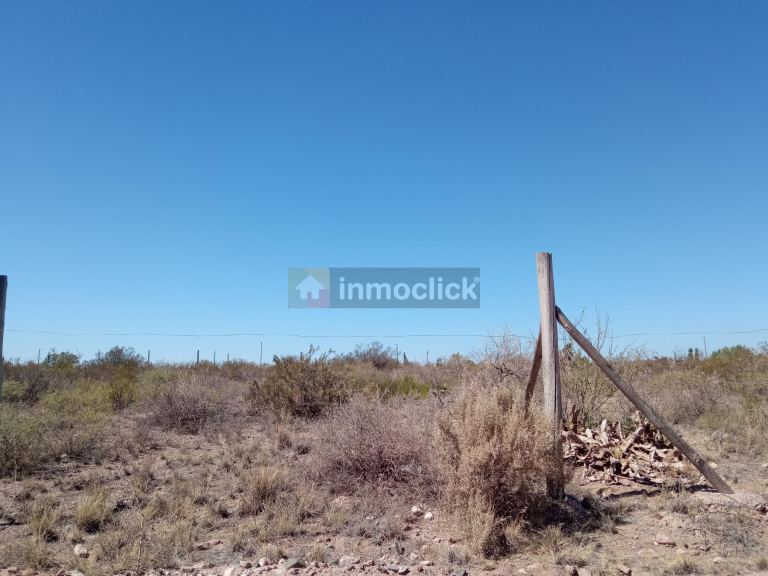 Imagen 11