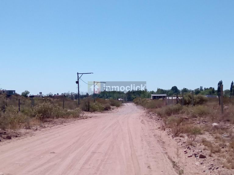 Imagen 5