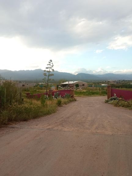Imagen 3