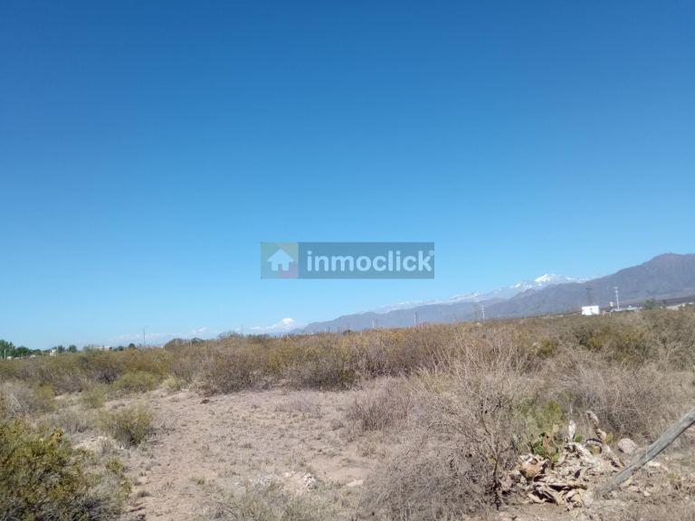 Imagen 9