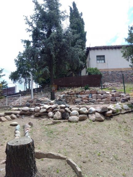 Imagen 8