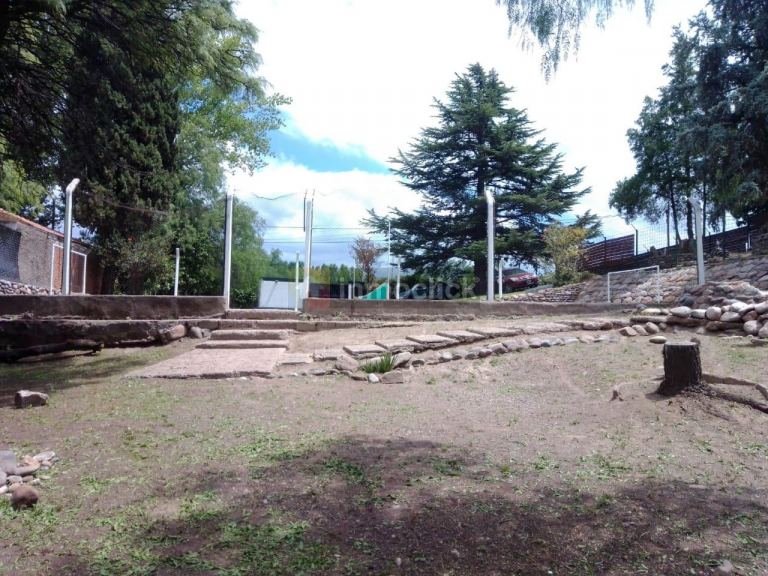 Imagen 5
