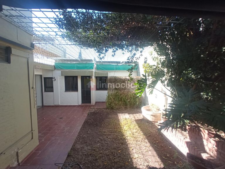 Imagen 26