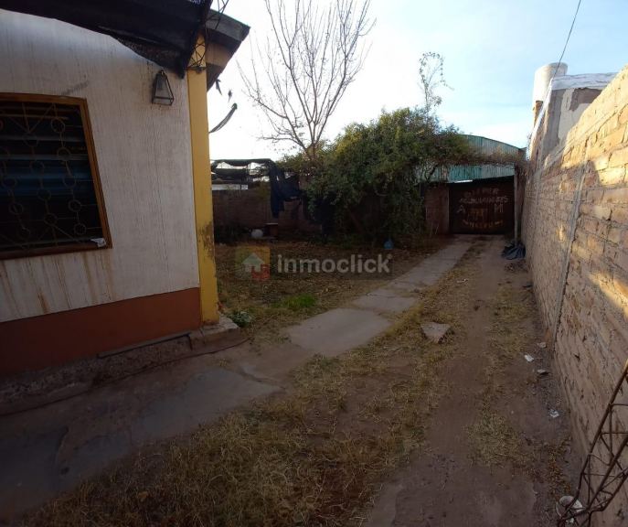 Imagen 5