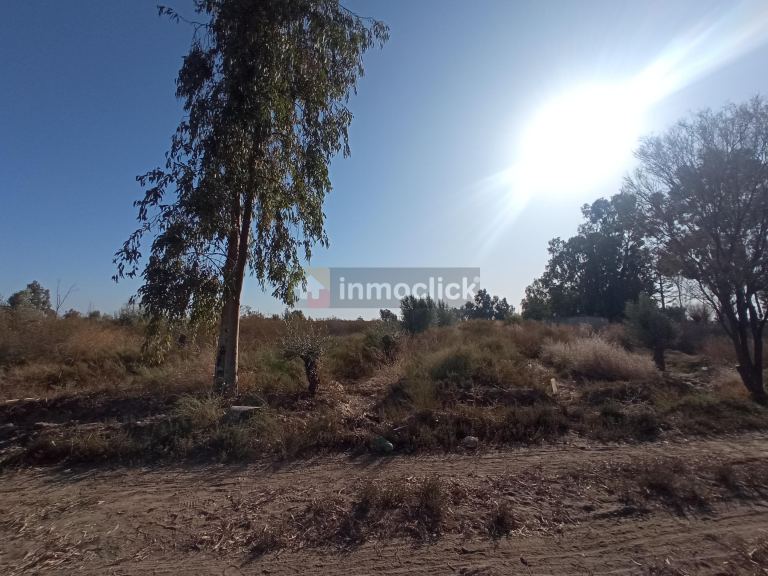 Imagen 10