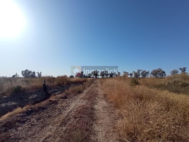 Finca en Sobre calle Buen Orden