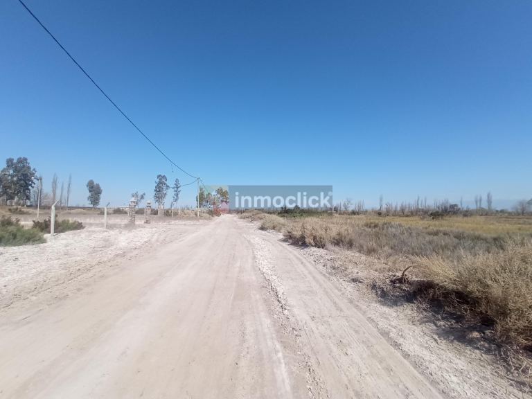Imagen 6