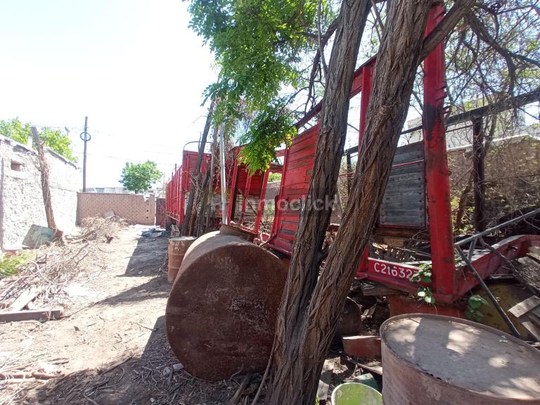 Imagen 7