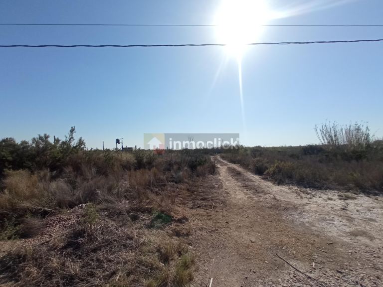 Imagen 16