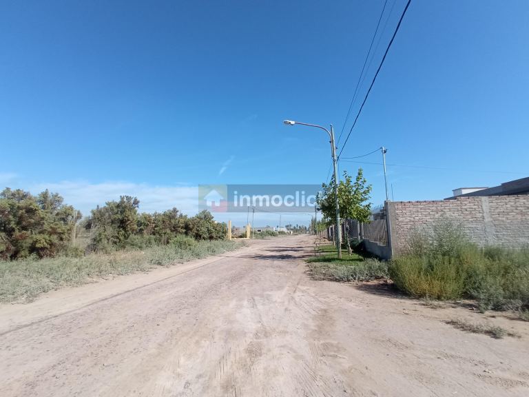Imagen 15