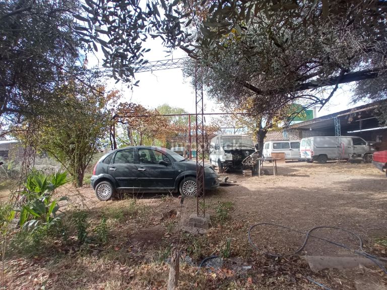 Imagen 4
