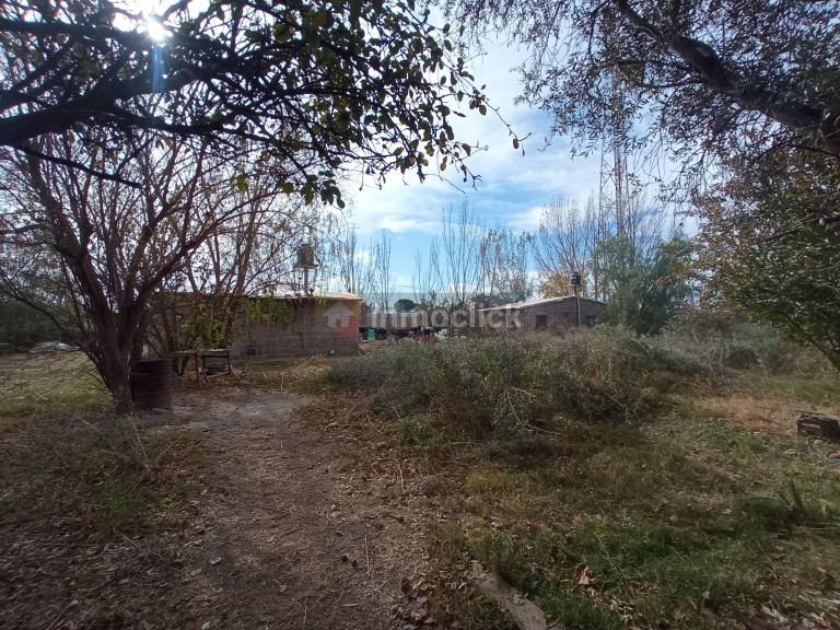 Imagen 5