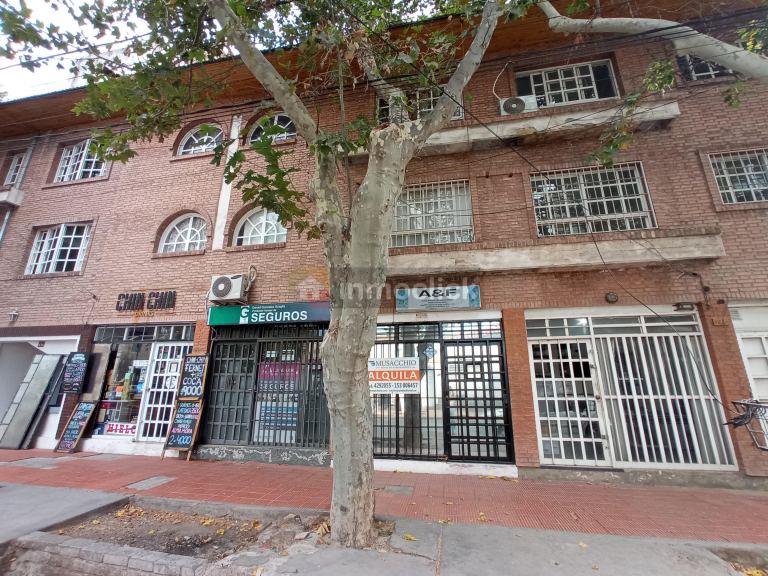 Imagen 2