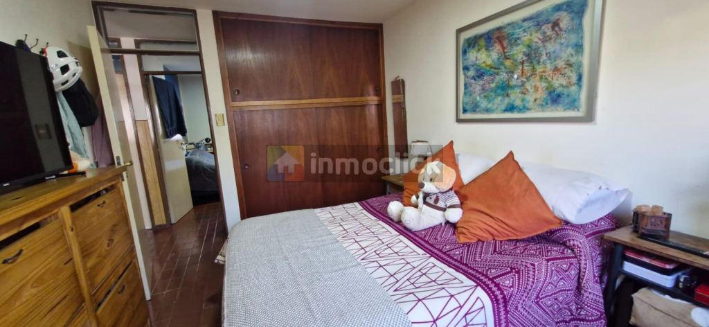 Imagen 11