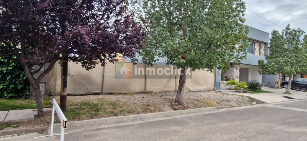 Imagen 9