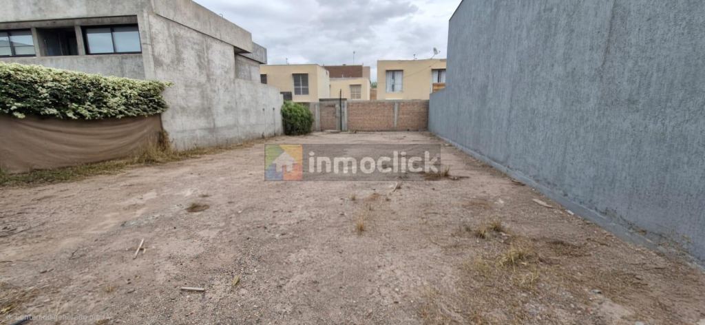 Imagen 11