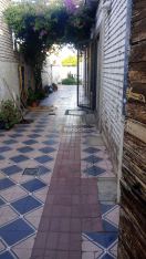 Imagen 12