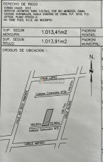 Imagen 5