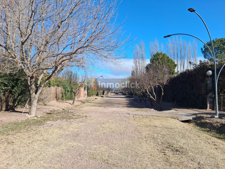 Imagen 5