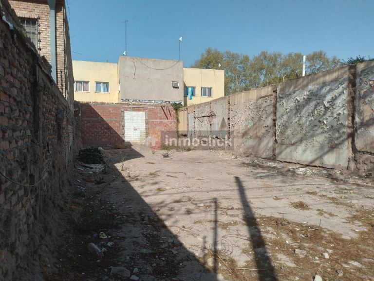 Imagen 5