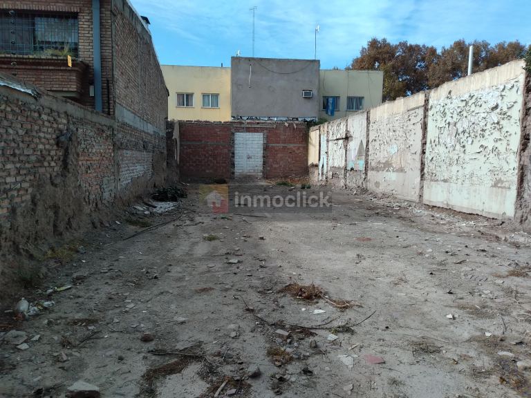 Imagen 6