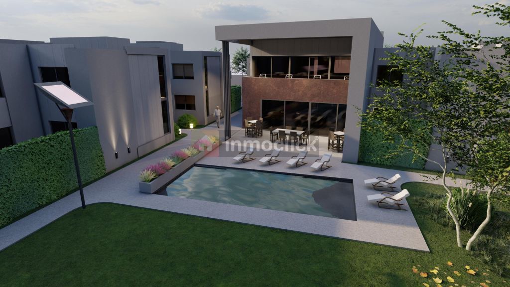Imagen 5